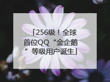 256级！全球首位QQ“金企鹅”等级用户诞生