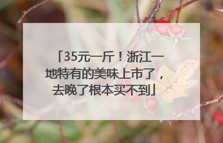 35元一斤！浙江一地特有的美味上市了，去晚了根本买不到