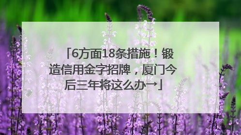 6方面18条措施！锻造信用金字招牌，厦门今后三年将这么办→