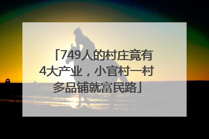 749人的村庄竟有4大产业，小官村一村多品铺就富民路