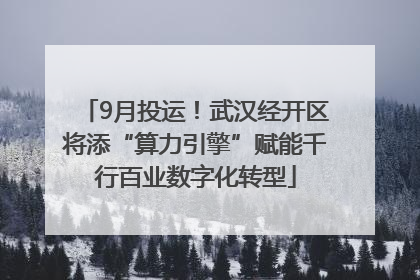 9月投运！武汉经开区将添“算力引擎”赋能千行百业数字化转型
