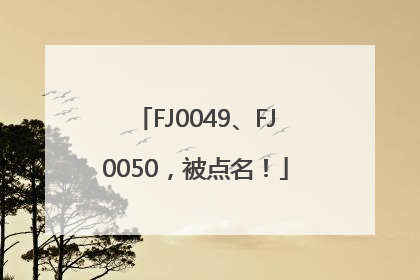 FJ0049、FJ0050，被点名！