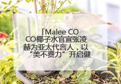 Malee COCO椰子水官宣张凌赫为亚太代言人，以“美不费力”开启健康生活好状态