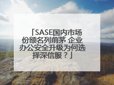 SASE国内市场份额名列前茅 企业办公安全升级为何选择深信服？